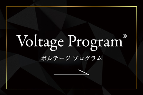 Voltage Program®（ボルテージプログラム）